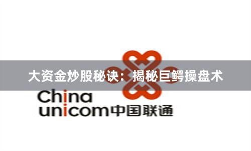 大资金炒股秘诀：揭秘巨鳄操盘术