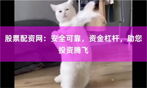 股票配资网：安全可靠，资金杠杆，助您投资腾飞